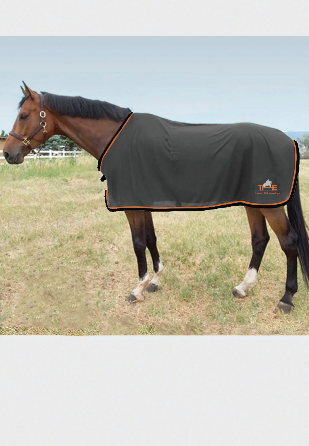 Tuscany Hill Equestrian Jacks Scrim Fly Sheet