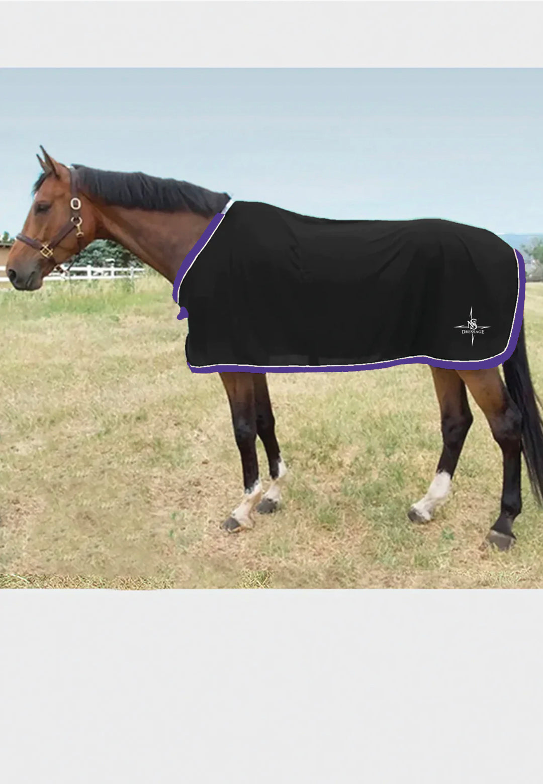 NS Dressage JACKS COOLERFLEECE DRESS SHEET