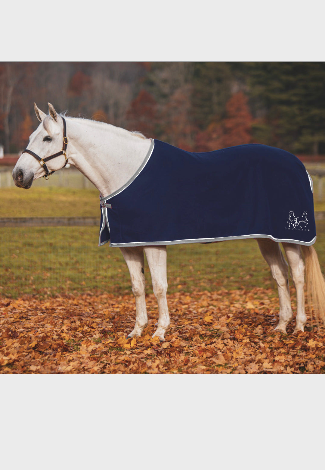 SP Dressage JACKS COOLERFLEECE DRESS SHEET