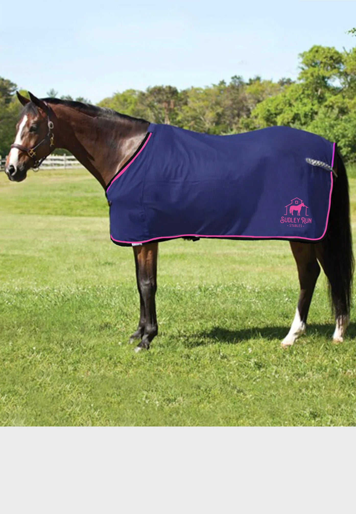 Sudley Run Stables JACKS COOLERFLEECE DRESS SHEET - Royal