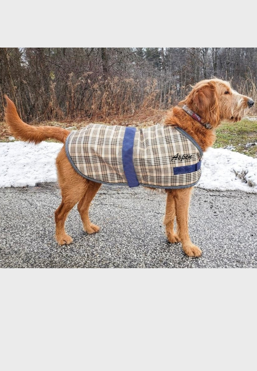 Heron's Crest Stables Baker® Dog Coat