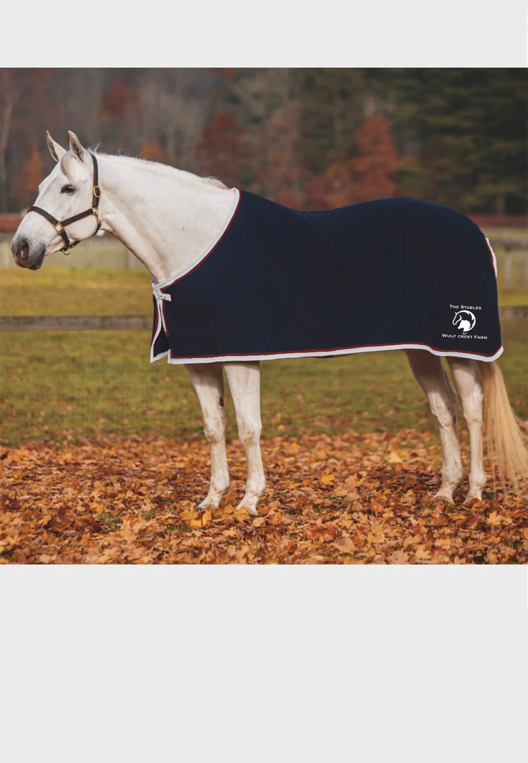 The Stables at Wulf Crest Farm JACKS COOLERFLEECE DRESS SHEET